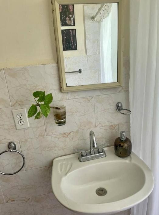 Accommodatie bij particulieren Gai Friendly Muy Centrico Y Comodo